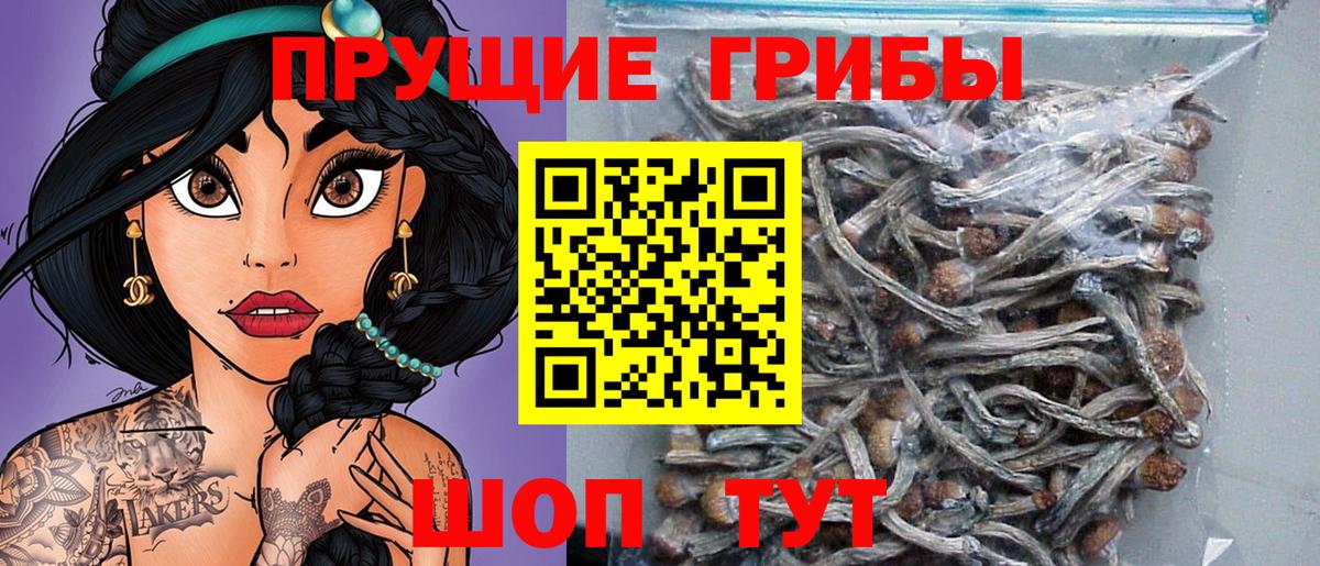 Галлюциногенные грибы мухоморы  Галлюциногенные грибы Cubensis  Вход с VPN  даркнет сайт  Соль-Илецк 