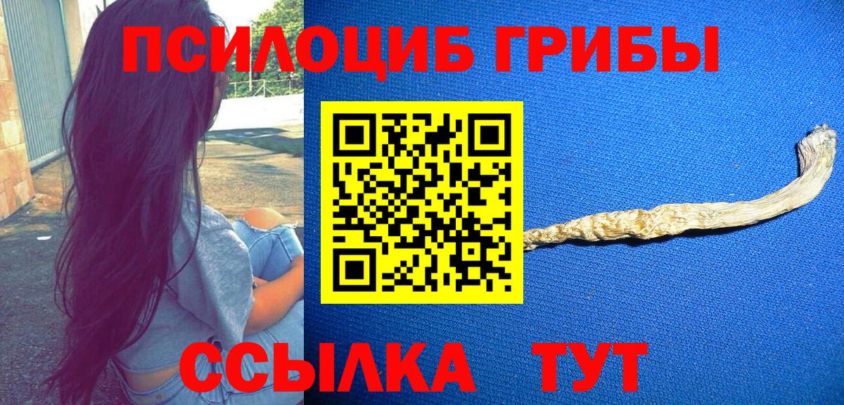 Псилоцибиновые грибы GOLDEN TEACHER Соль-Илецк
